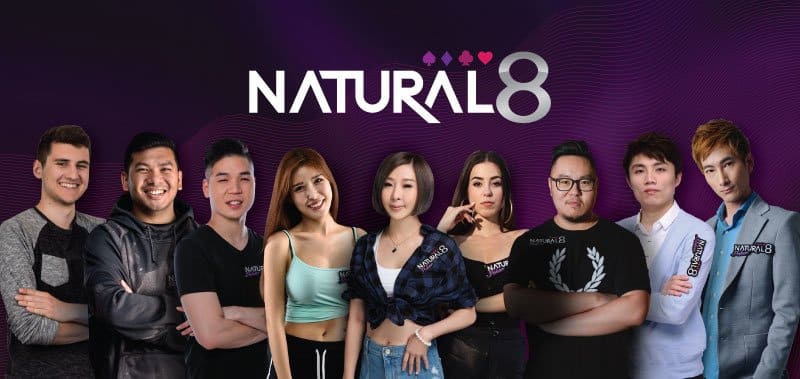 Natural8 là gì?